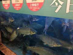 -淘米捞·米汤脆鲩鱼火锅(福田皇岗店)