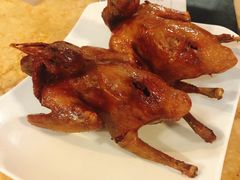 手撕乳鸽-琬苑鸽庄·川粤融合菜(解放碑总店)