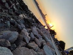 -深圳湾公园(南山区)