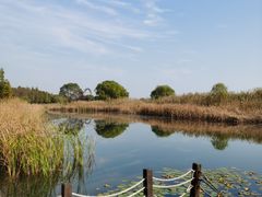 -苏州太湖湖滨国家湿地公园