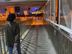 -武汉关码头(轮渡站)