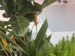 -一沙一城·岩烤牛扒(深圳首店)