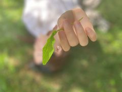 -河南省黄河迎宾馆