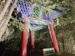 -白塔山公园