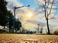 -上海山野camping·户外天幕烧烤·团建拓展营地