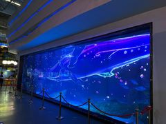 -海合安成都极地海洋公园