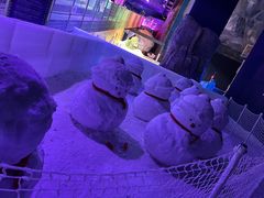 -世界之窗阿尔卑斯冰雪世界
