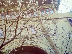 -武汉大学-樱园