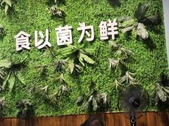 -菌乡缘·野生菌蒸汽鱼火锅(江边夜市店)
