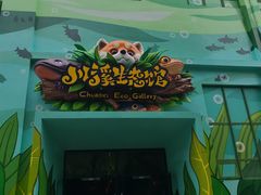 -海合安成都极地海洋公园