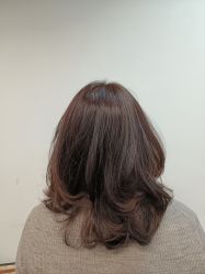 -蚂蚁造型俱乐部