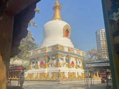 -护国法轮寺