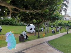 -三亚亚龙湾天域度假酒店