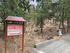 -泰山风景名胜区-普照寺