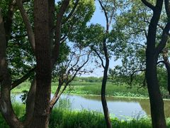 -同里国家湿地公园