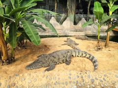 -石家庄市动物园