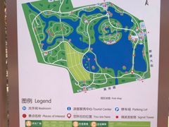 -大兴滨河森林公园