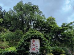 -广州白江湖森林公园