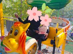 -朝阳公园游乐园