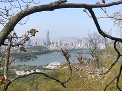 -紫金山天文台