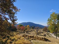 -塔川景区