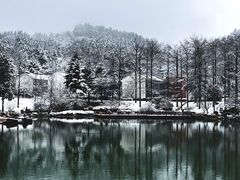 -四明山国家森林公园