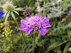 -白草畔自然风景区