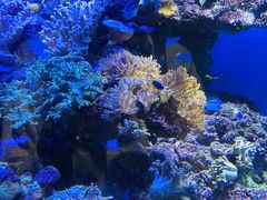 -上海海昌海洋公园