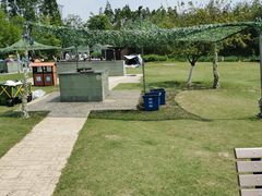 -上海长兴岛郊野公园