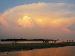 -北海金海湾红树林生态旅游区