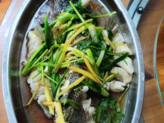 -大班家政月嫂育儿嫂(深圳NO.1店)