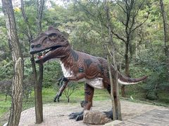 -沈阳森林动物园