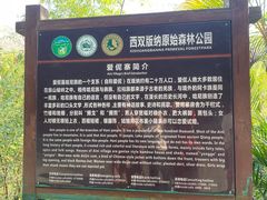 -西双版纳原始森林公园