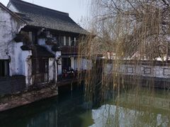 -鲁镇