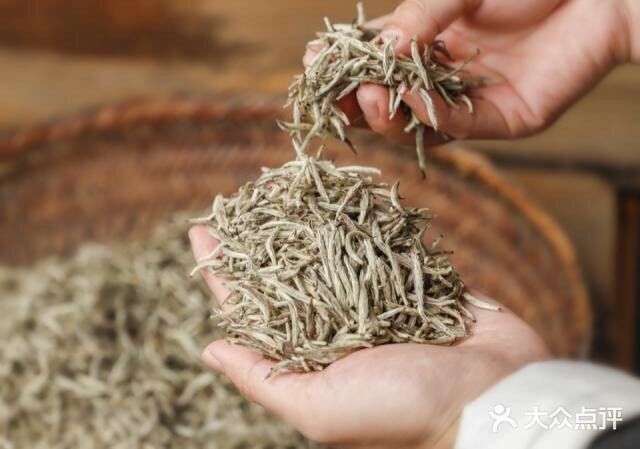 老白茶怎么喝（二）