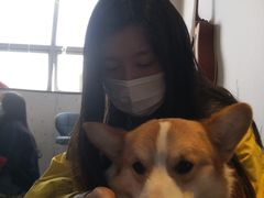 -汪说·狗咖(旺城大厦店)