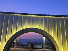 -金鸡山公园