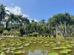-中国科学院西双版纳热带植物园