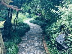 -上海醉白池公园