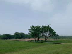 -盘龙城国家考古遗址公园