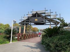 -荷塘月色湿地公园·向阳花洲