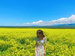 -青海湖国家重点风景名胜区