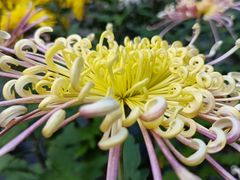 -贵州省植物园