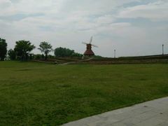 -杭州湾海上花田景区