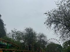 -柳州市动物园