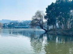 -长兴太湖图影湿地文化园