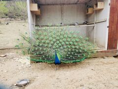 -潭柘厚院&山顶烤肉(潭柘寺店)