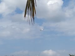 -亚龙湾国际玫瑰谷