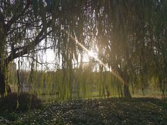 -滨湖塘西河公园