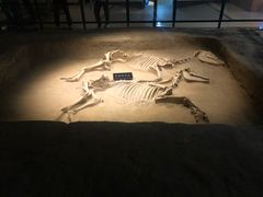 -洛阳周王城天子驾六博物馆